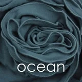 Ocean