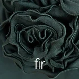 Fir